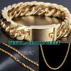 Curb Chain Bracelet Hip Hop Luxury Designer Stainless Steel Bracelet Bracelet for Men Gold Plated Jewelry Pulsera Hombre